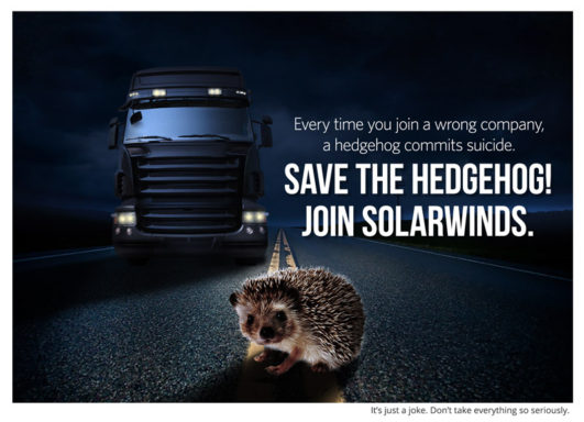 suicidal_hedgehog suicidal_hedgehog
