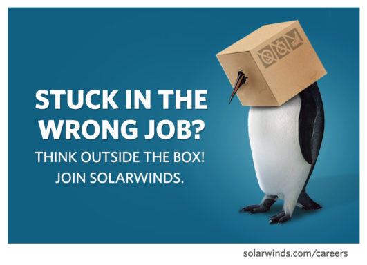 penguin_800x579 penguin_800x579